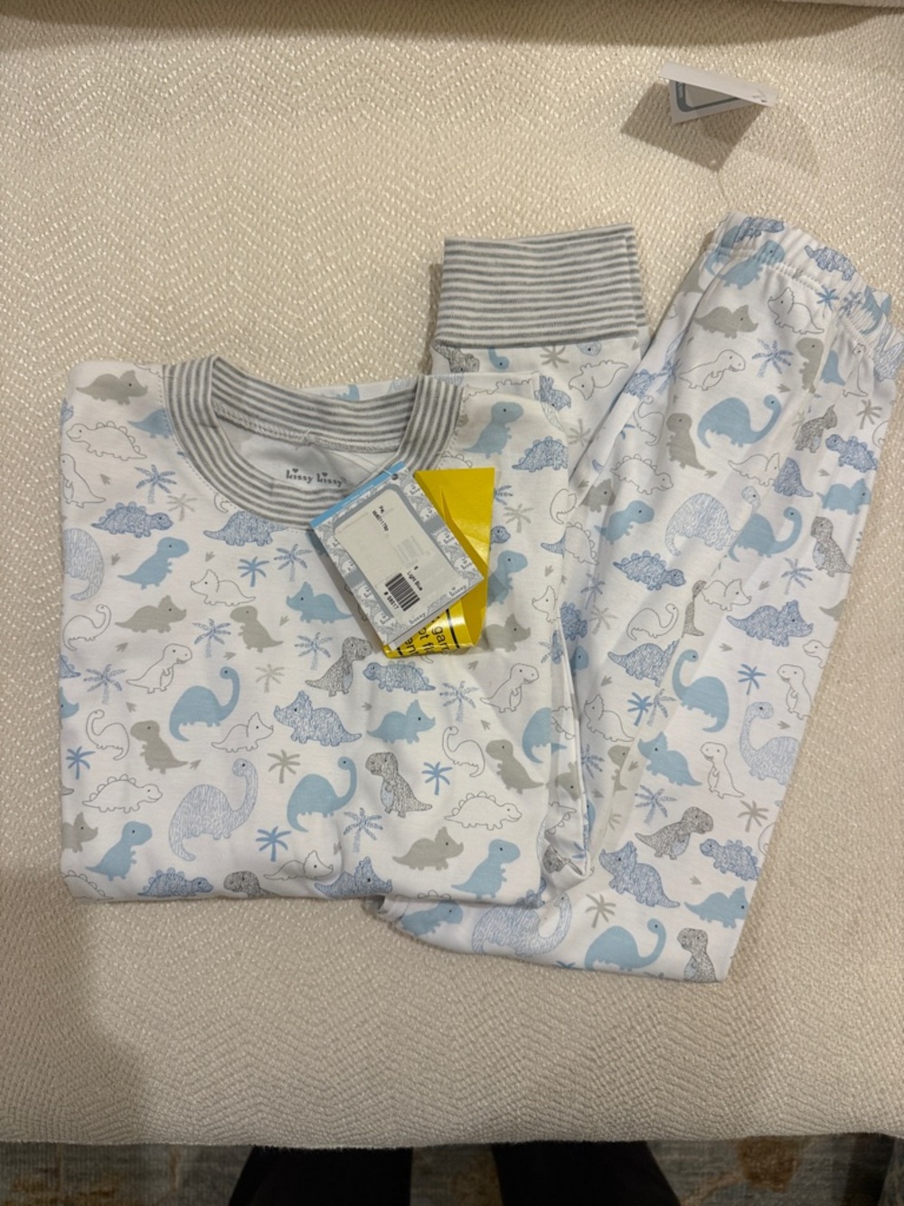 Kissy Kissy Baby Dinosaur Pajama Set - Light Blue & Gray
